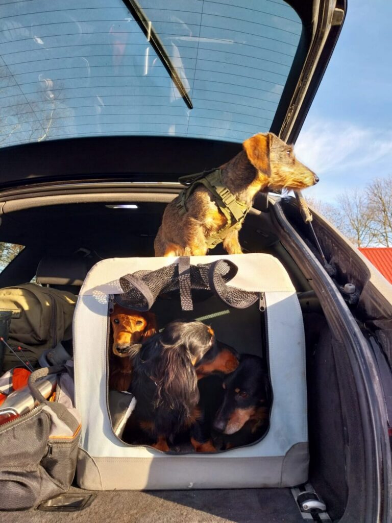 Sonja, Benno, Sämm, Maximus