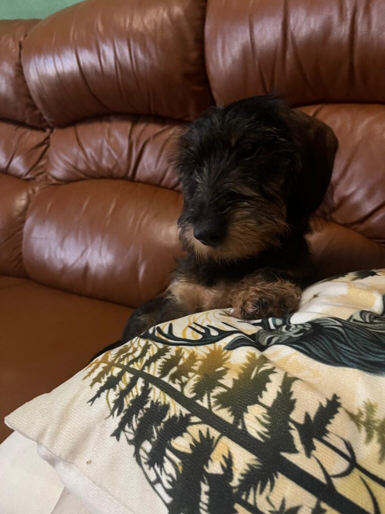 Tixi 1.09.25-12.02.26