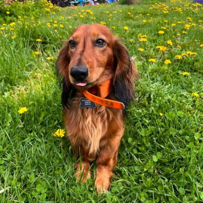 Jasper 18.07.22-13.06.2025