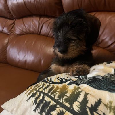 Tixi 1.09.25-12.02.26
