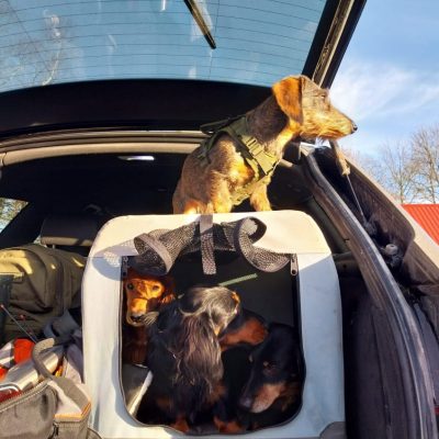 Sonja, Benno, Sämm, Maximus